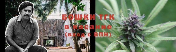 соль ск Пересвет