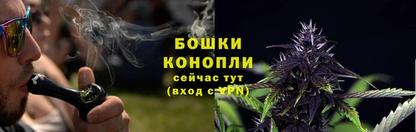 apvp Богданович