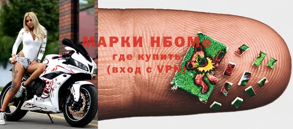 молекула духа Пестово