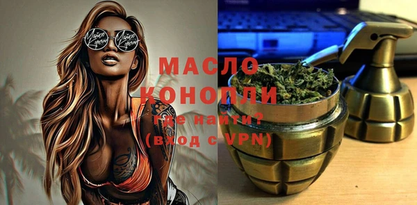 mix Богородицк