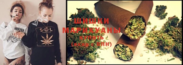 mix Богородицк