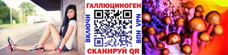Псилоцибиновые грибы Psilocybine cubensis  Буй 